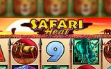 Safari Heat slotgame